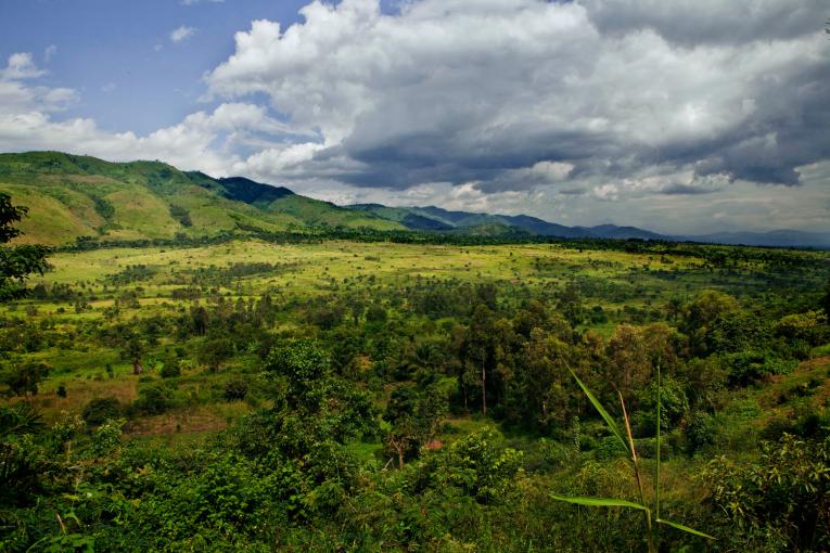 RDC : 33,8 millions USD du FIDA pour le secteur agricole du Nord-Kivu 1