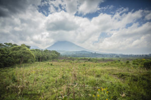 Vue du Parc National des Virunga que New – York Times aligne 19ème sur les 52 meilleures destinations du monde en 2016. Ph. Tiers