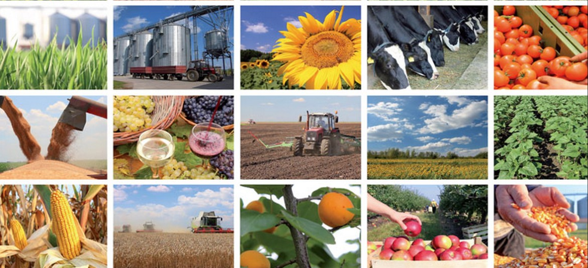 Agro industrie et agriculture durable