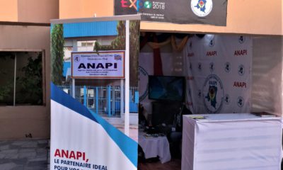RDC : l’ANAPI annonce des missions de suivi des projets agréés entre 2013 et 2017 15