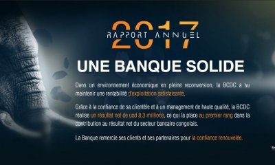 BCDC Rapport 2017 @Zoom eco