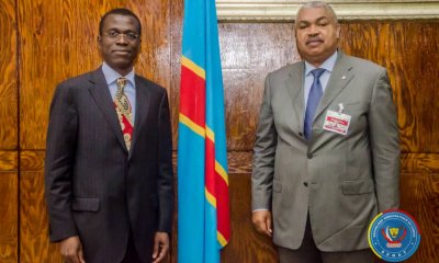 RDC : le premier vice-président du Sénat et une délégation de la BAD ont échangé sur les questions de développement (Communiqué)