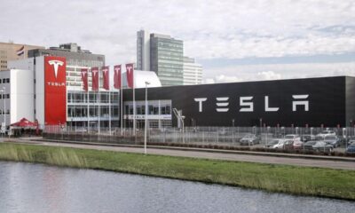 RDC : Après le suisse Glencore, l’américain Tesla rejoint l’initiative Fair Cobalt Alliance