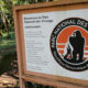 Parc des Virunga et Hopital general de reference de Mutwanga
