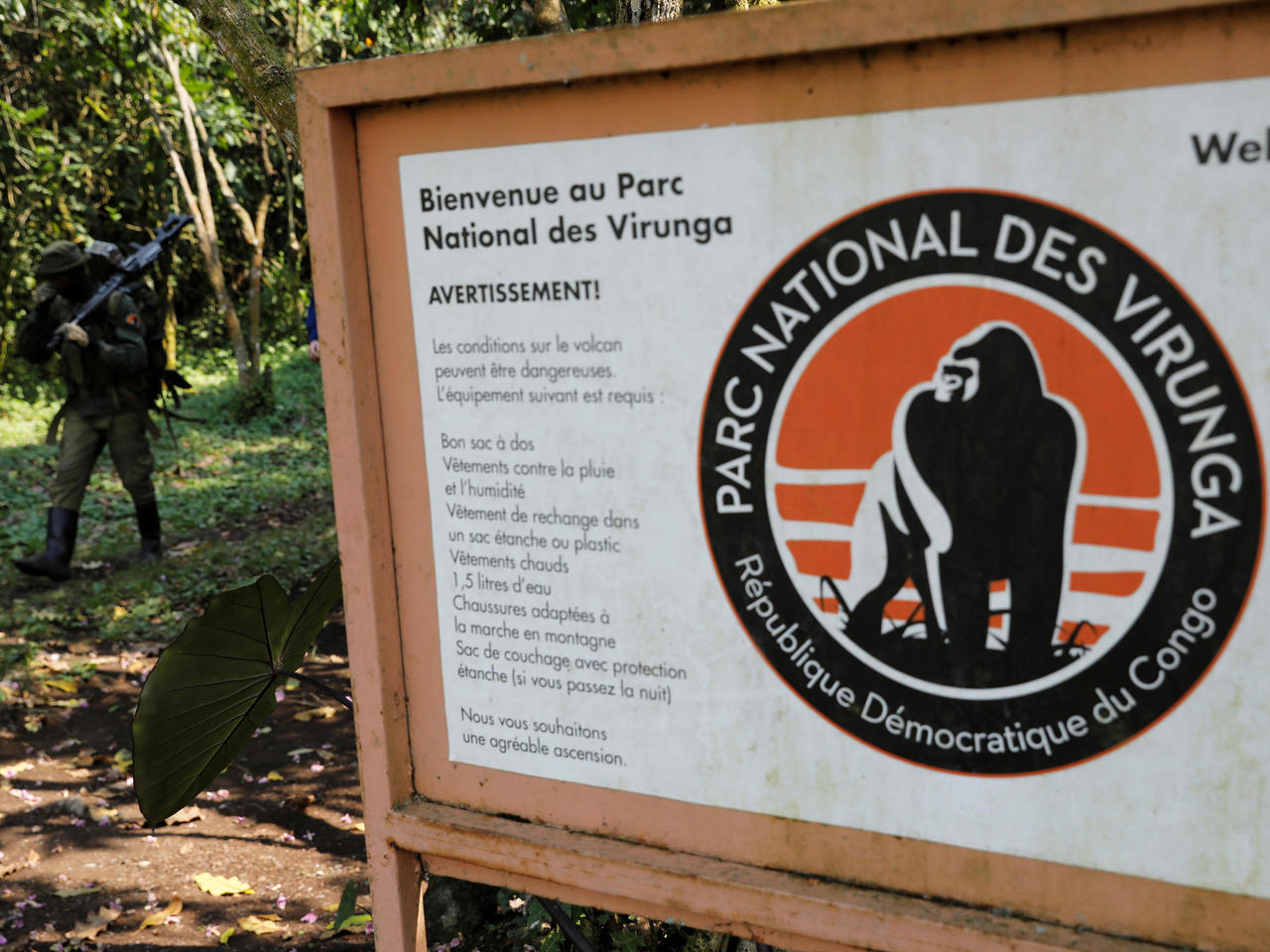 Parc des Virunga et Hopital general de reference de Mutwanga