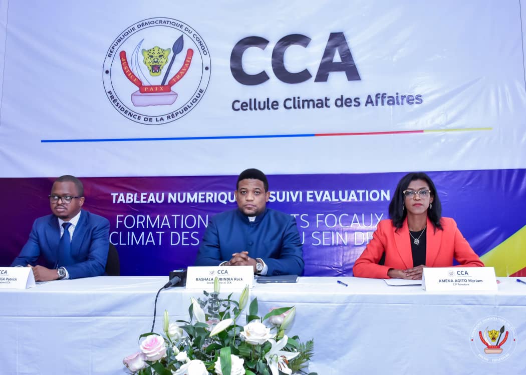 RDC : la Cellule Climat des Affaires forme ses points focaux au sein des ministères 1