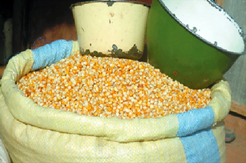 Kasaï Central : le prix de la mesurette de maïs de 3 kg (Meka) baisse de 3000 à 2000 CDF à Kananga 1