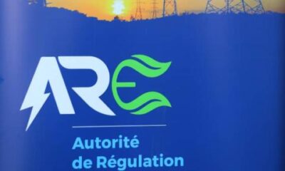RDC: l’identification de tous les opérateurs du secteur de l'électricité s'achève le 20 mai 2022 (ARE) 9