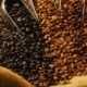 Monde : le café Robusta et Arabica devraient enregistrer une baisse de prix cette semaine (mercuriales)