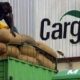 Monde : Cargill enregistre une baisse des bénéfices de plus de 43% en 2023