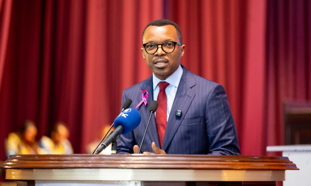 DR Congo National Assembly: Mining Value Chain Bill Admissible